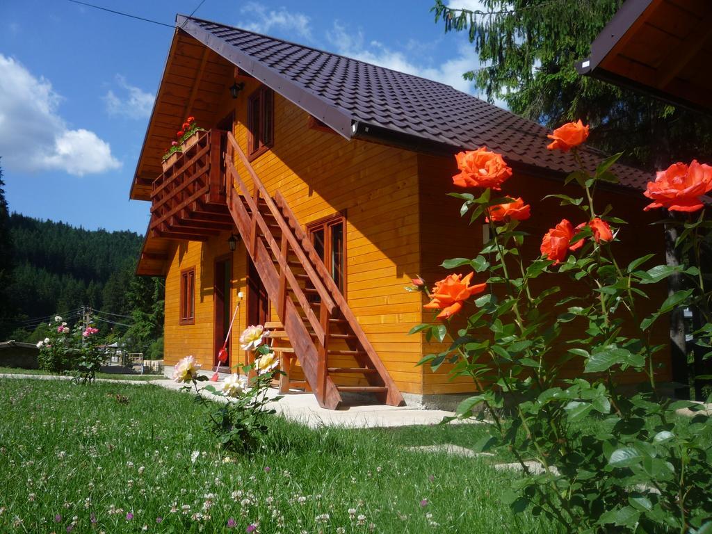 Pensiunea Stefania Lacu Rosu Exterior foto